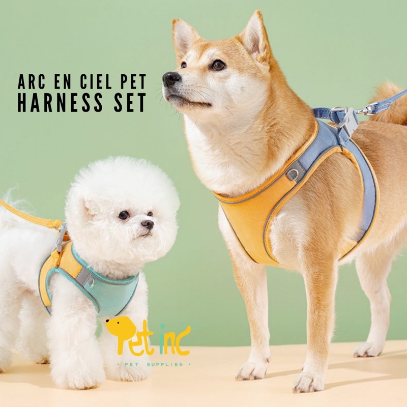 ARC EN CIEL HIPIDOG PET HARNESS SET