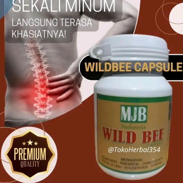 

Stok banyak Wildbee Capsule 64