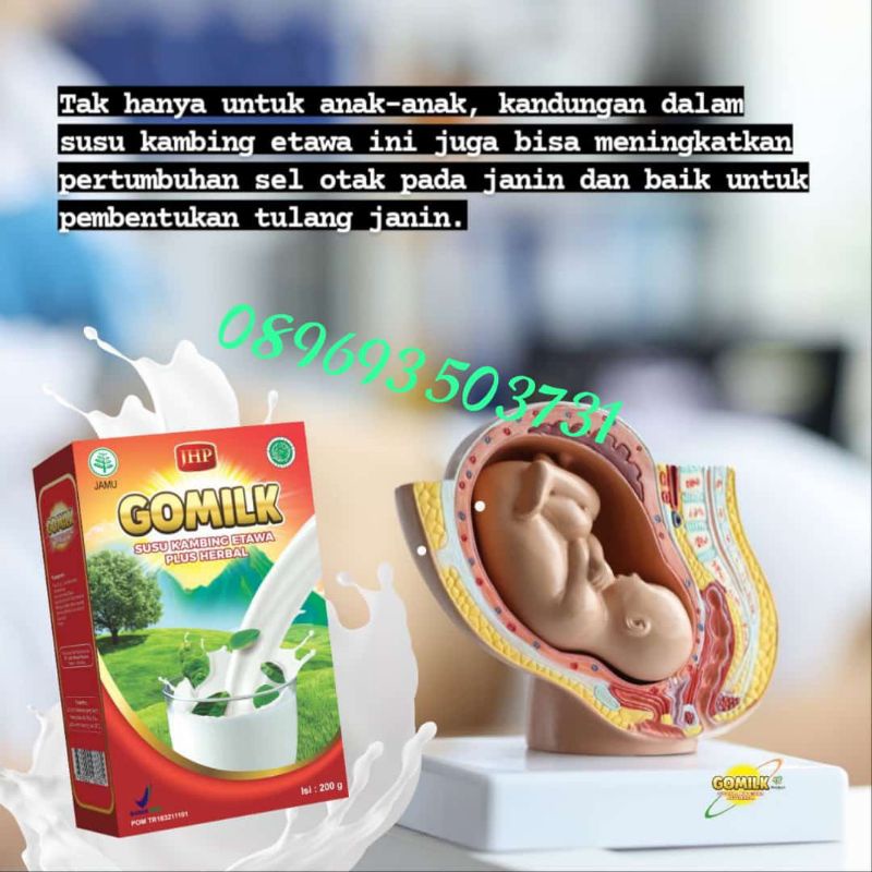 

susu kambingetawa
