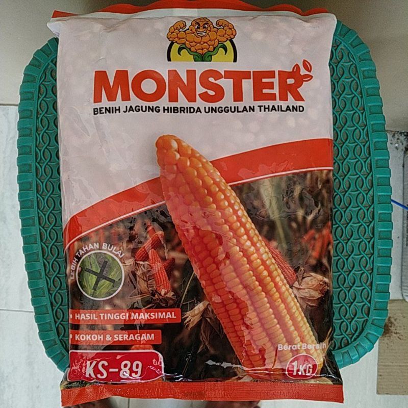 benih jangung KS-89 MONSTER 1kg benih jagung hibrida