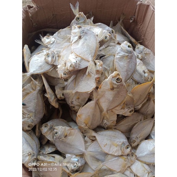 

ikan asin kopek/petek/dodok 150 gram