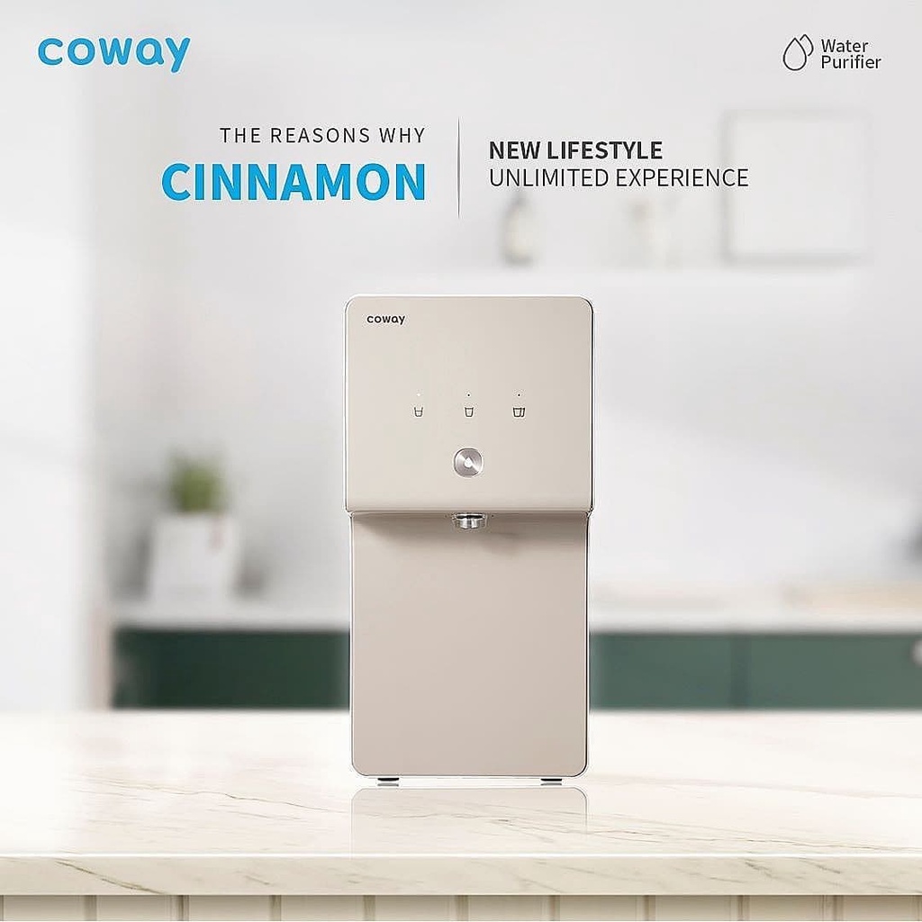 Water Purifier Coway Cinnamon P-6320R