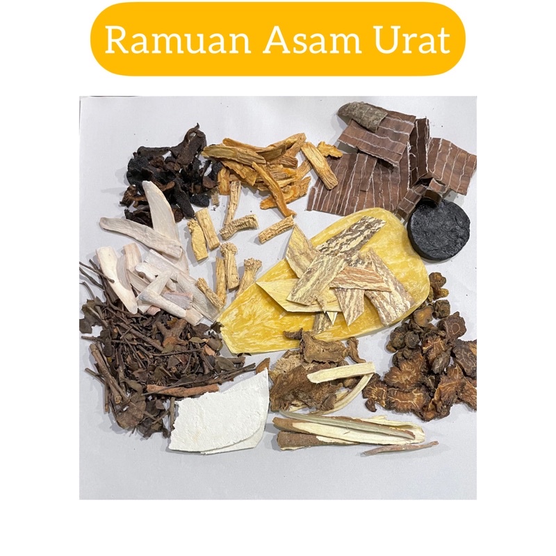 

Ramuan Asam Urat Herbal
