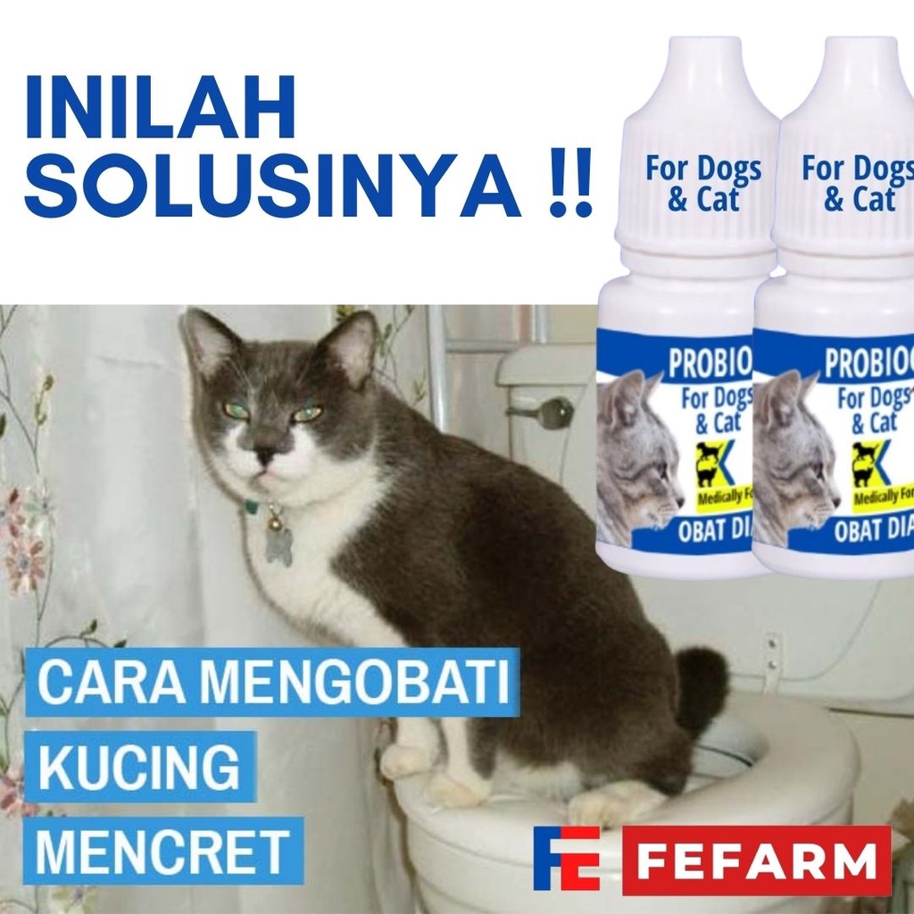 Obat Kucing Mencret Diare Gangguan Pencernaan Priobiocat Obat Diare Vitamin Pencernaan Anti Mencret