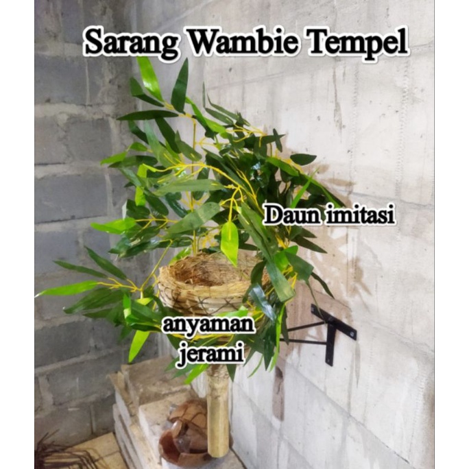 sarang wambie jerami Tempel