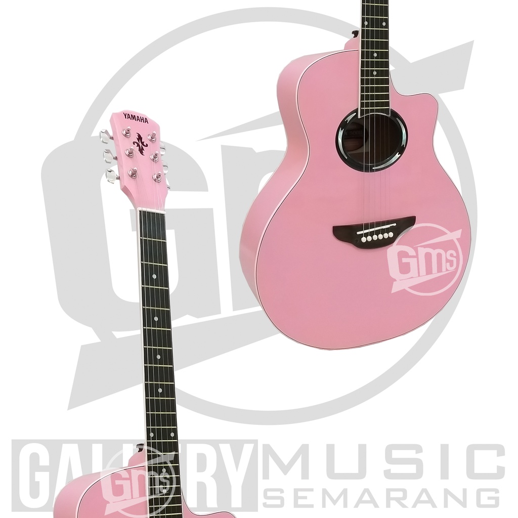 Gitar Akustik APX 500II Custom Standart Paket Super Komplit