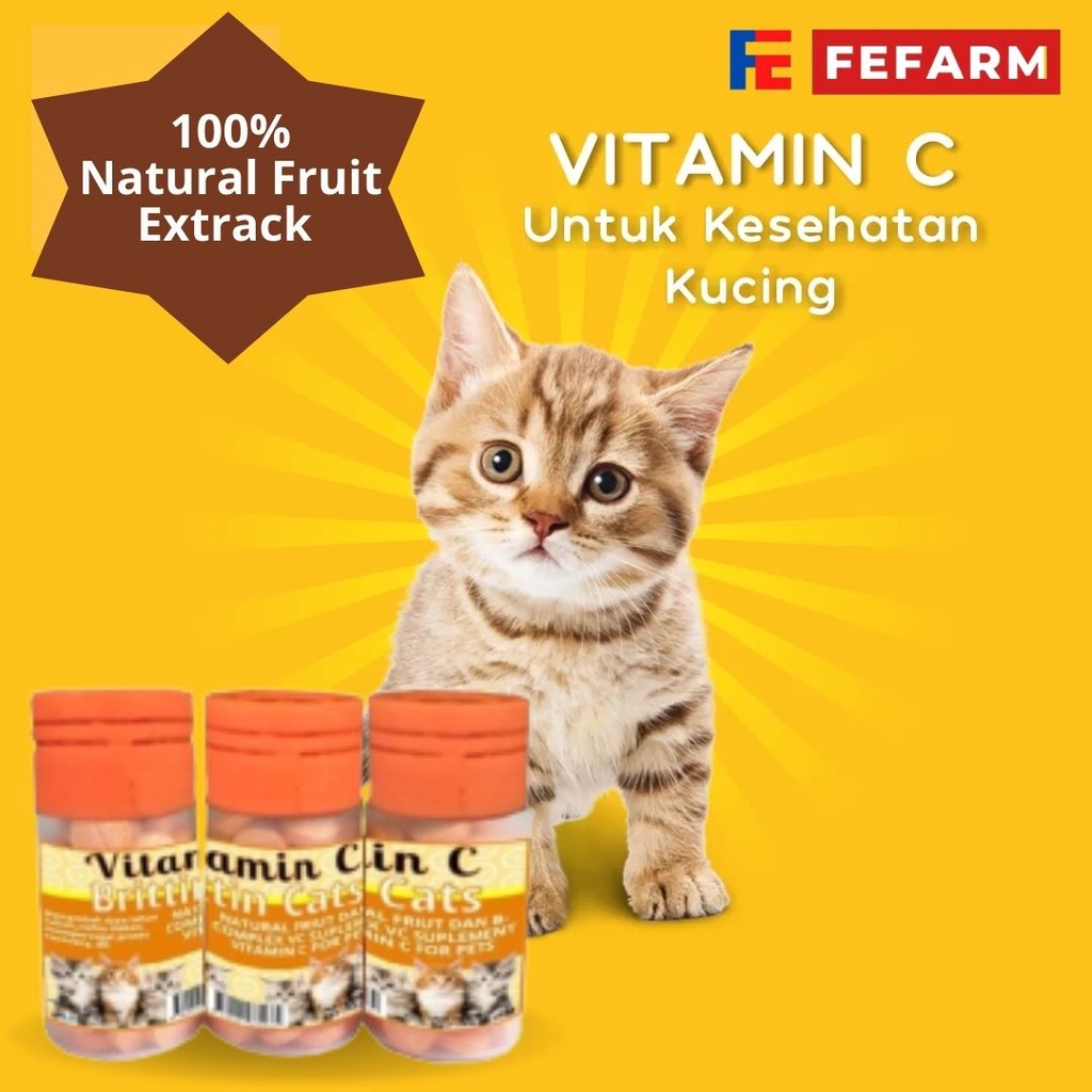 Suplemen Vitamin C Kucing Cats FEFARM