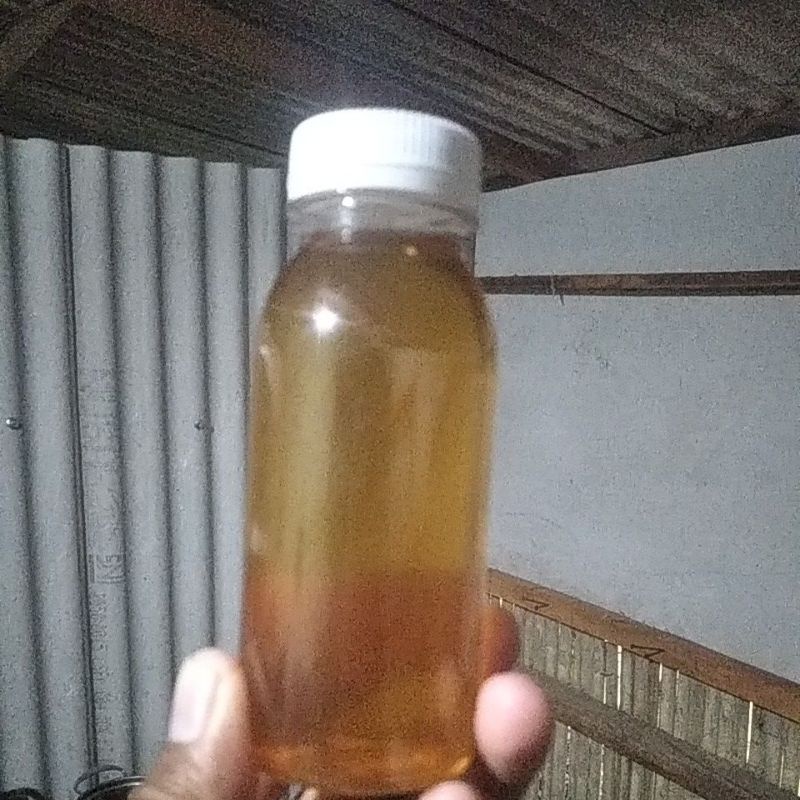 

MADU CERANA LOKAL