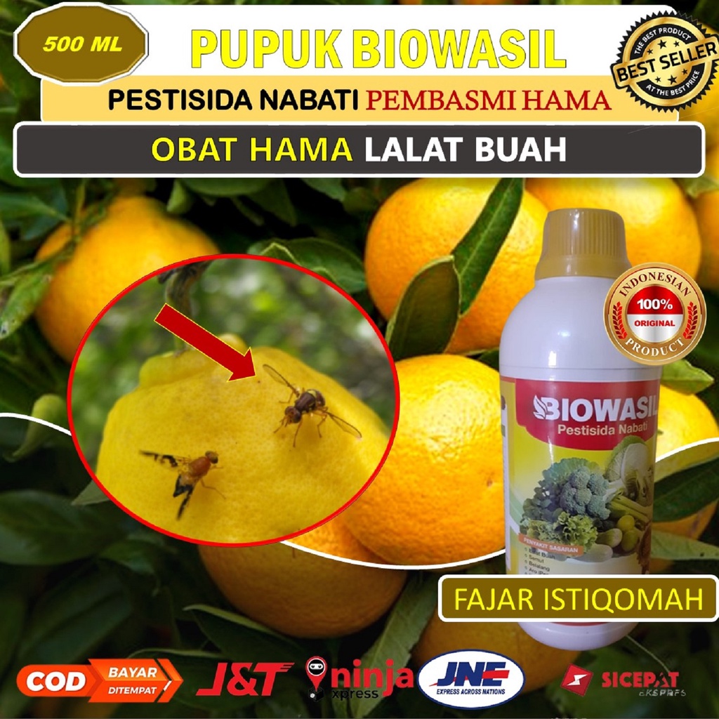 PUPUK BIOWASIL isi 500 ML OBAT PENGENDALI HAMA lalat buah pada tanaman JERUK - racun lalat buah pali