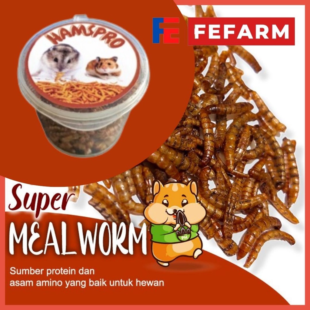 Ulat Hongkong Hamster Hamspro Kaya Akan Protein Tinggi FEFARM