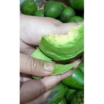 

GRATIS ONGKIR✅ALPUKAT MENTEGA 1KG|RA9