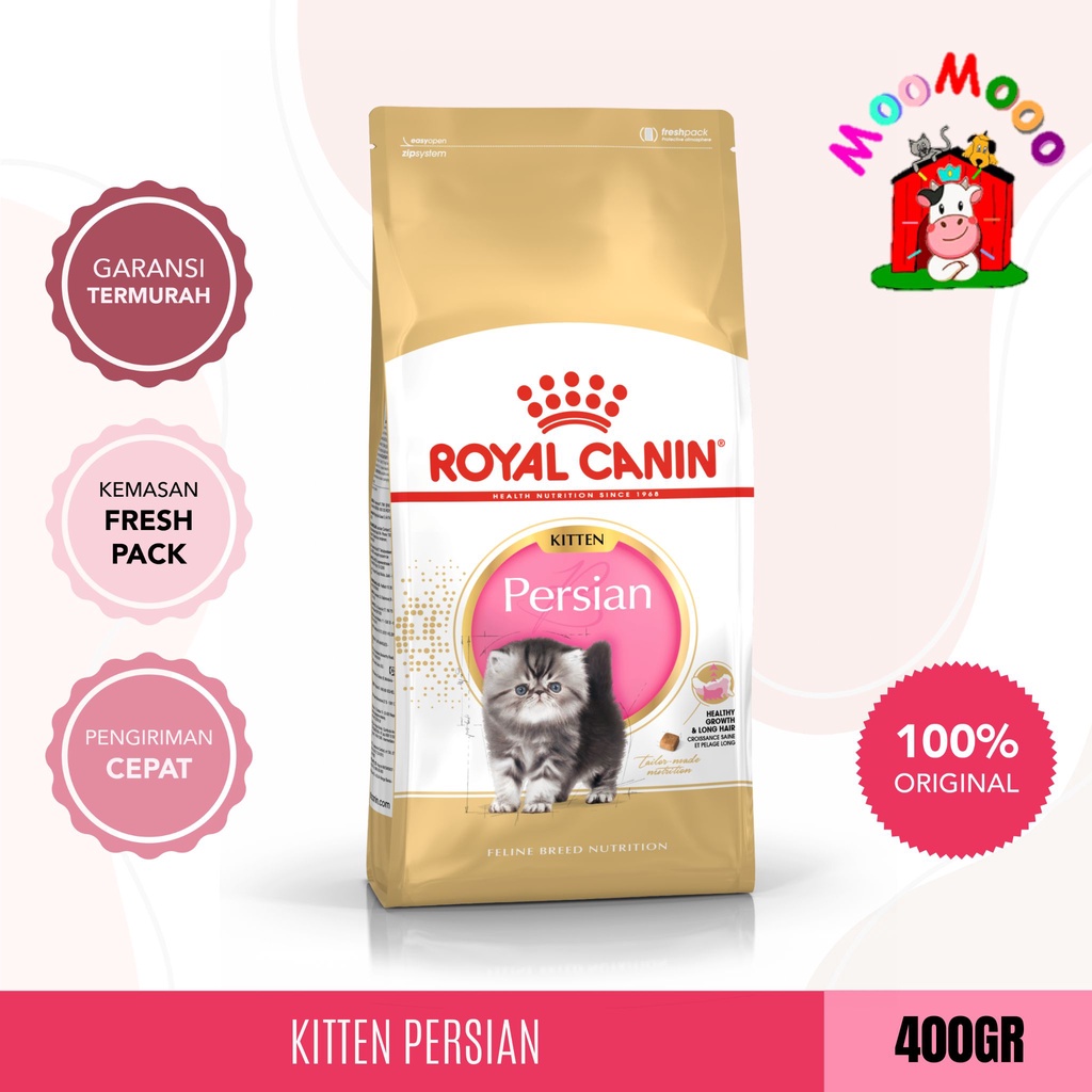 Royal Canin Kitten Persian 400gr - Makanan Kucing Persian Kitten / Cat Food