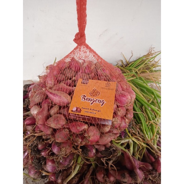 

Bawang Merah Banyong Asli Brebes 2 kg