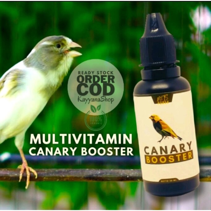 MO Canary Booster 30 ML Vitamin Penggacor Burung Kenari Vitamin Burung Kenari Biar Gacor