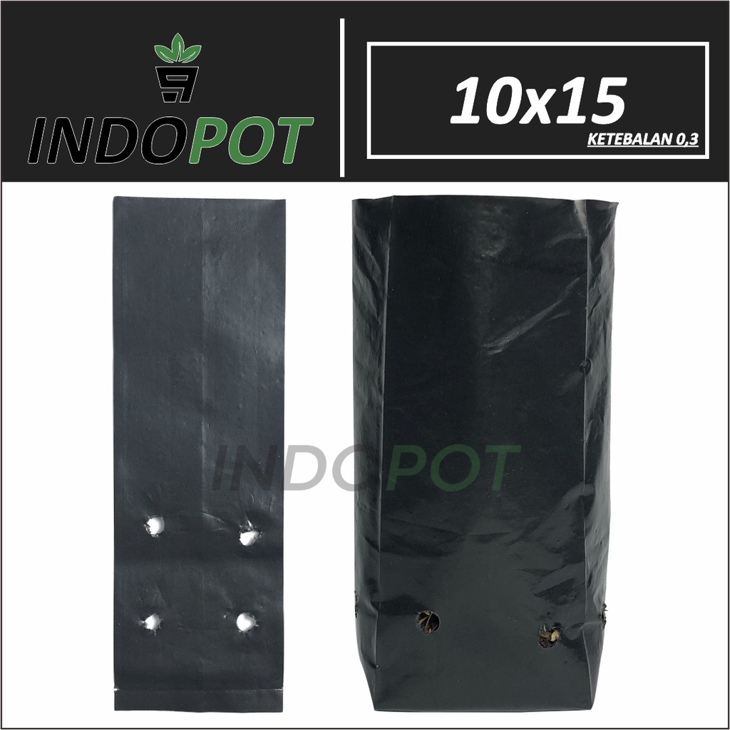 Kyoolaa Polybag Paket 500 Lembar Ukuran 10X15 Polybag Kecil Tinggi Polybag Panjang