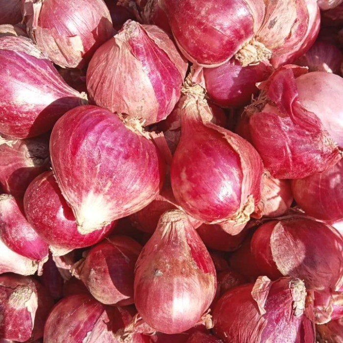 

Brambang merah Bawang Merah Kering Brambang Jowo Bawang Jawa