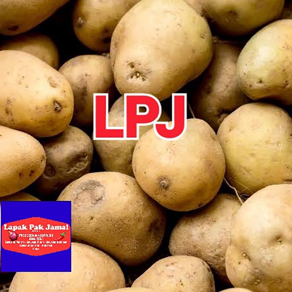 

✔✔SALE✔✔ Kentang DIENG KUNING - 1 Kg - LPJ