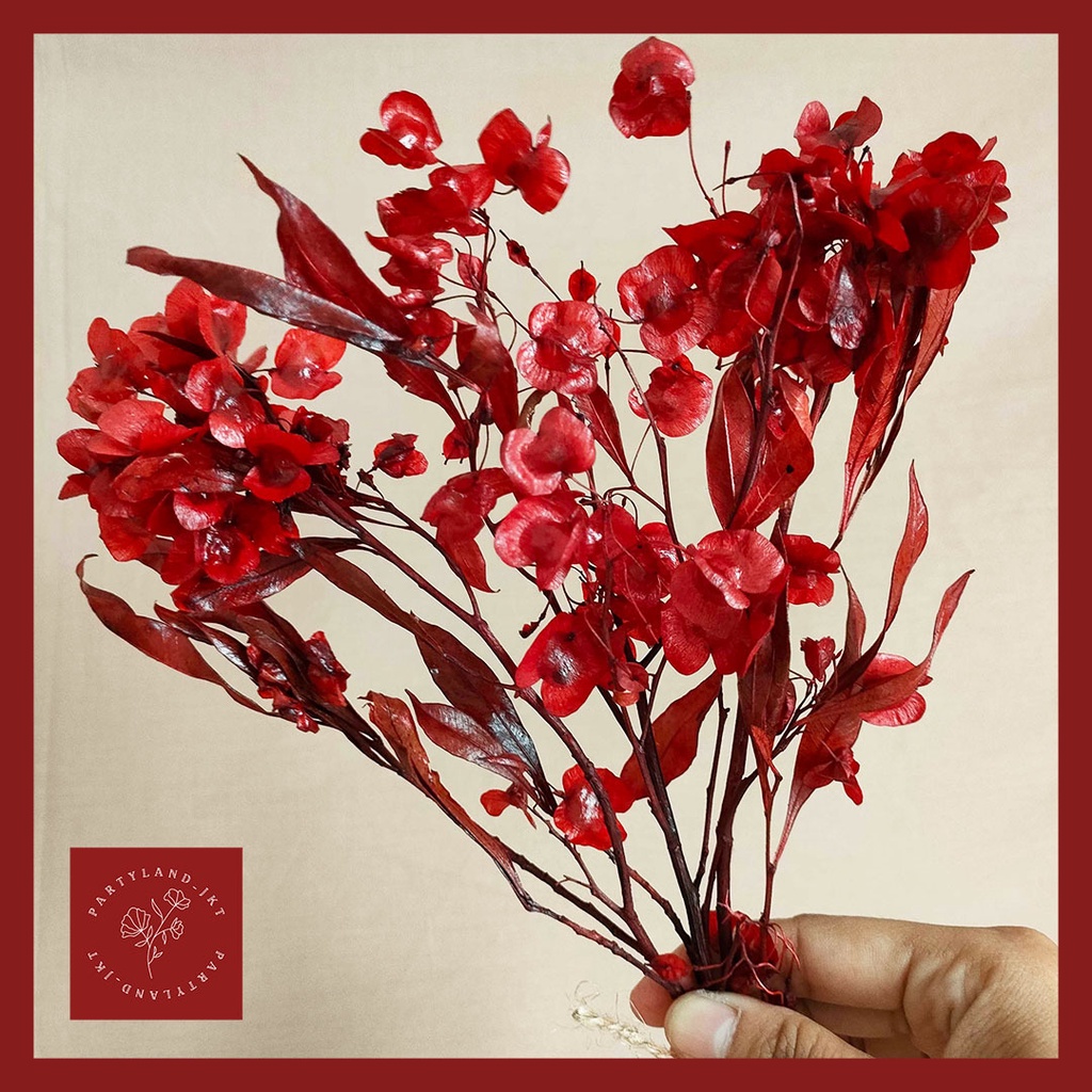 Chinese New Year Preserved Red HopBush Dodonaea  Bunga Imlek  Dekorasi  New Year 2023 Decoration Preserved Flower Bunga Kering Dried Flower Dry Flower  Tahun Baru Imlek