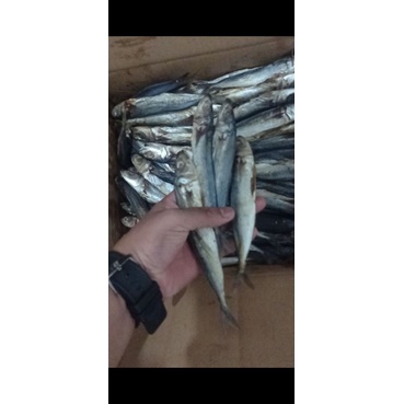 

ikan asin klotok pasuruan