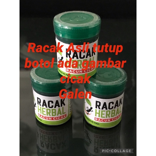 Racak Herbal Racun Cicak Paling Ampuh Pembasmi Cicak