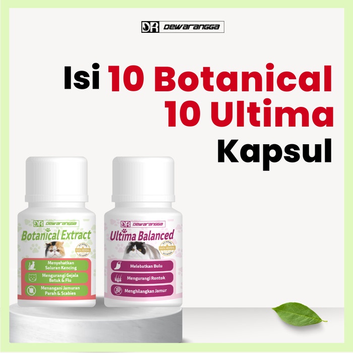 PAKET JAMURAN PARAH - DEWARANGGA