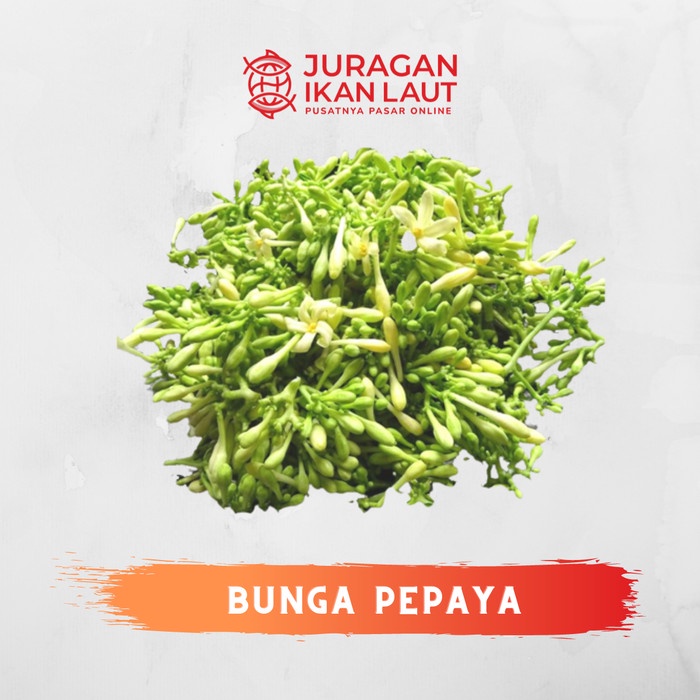 

Sayur Bunga Pepaya Segar Berkualitas - 250 Gram