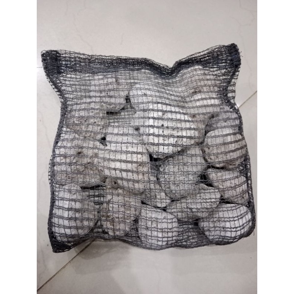 Media Filter Kolam Aquarium Pumice Stone Batu Apung 1kg