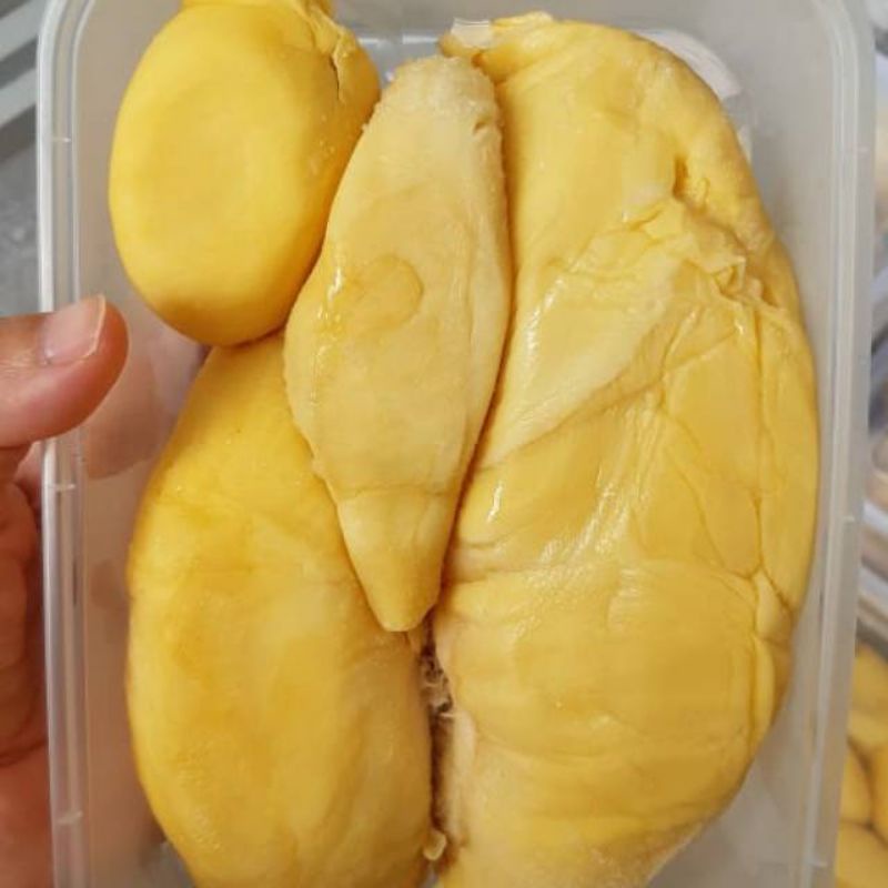 

PROMO MURAH DURIAN MONTONG PALU KUALITAS SUPER 500GRAM