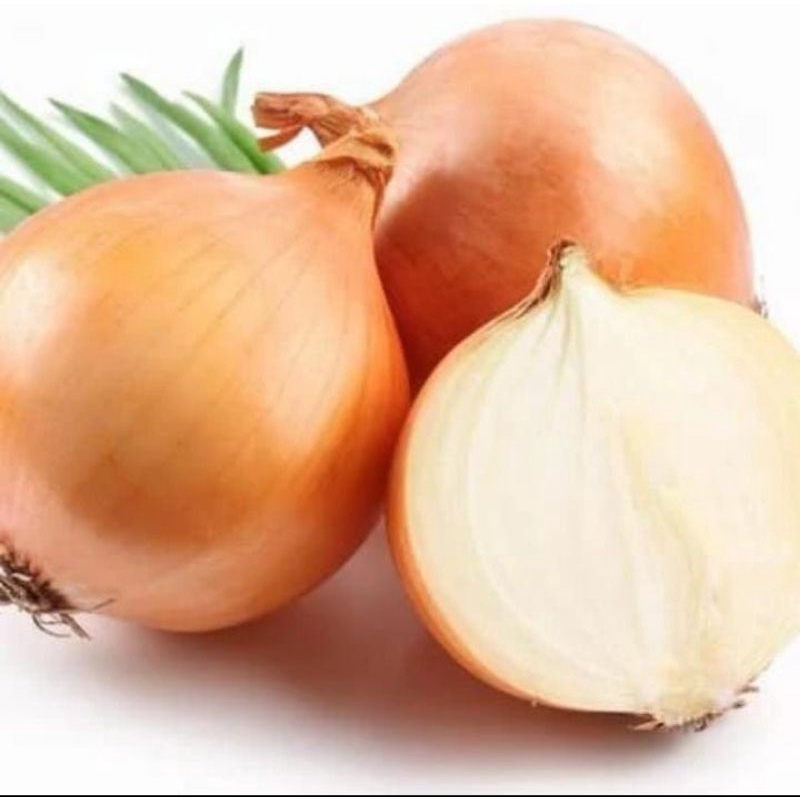

Bawang bombay 250gr, bawang bombay segar, bawang bombay