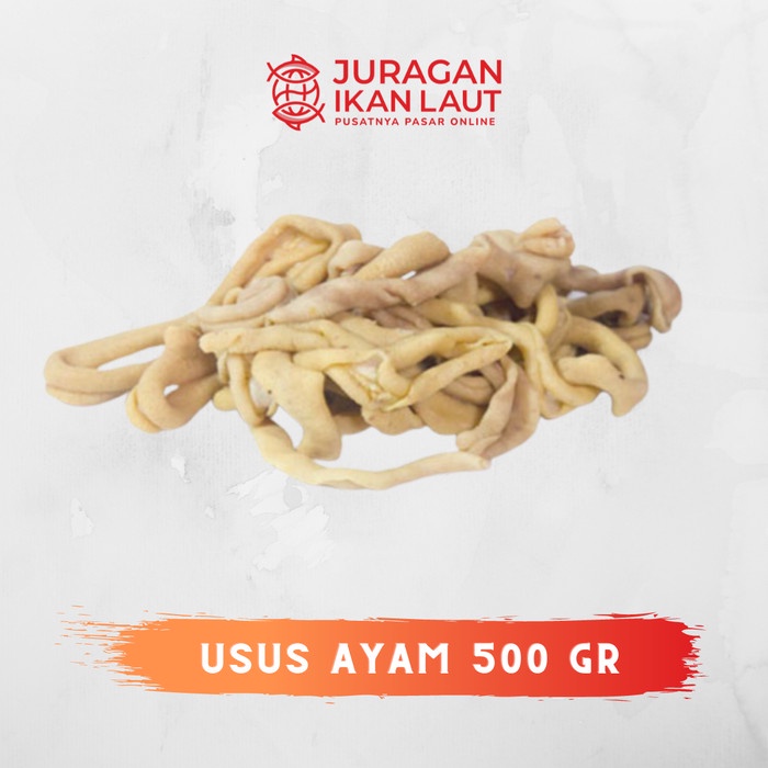 

Usus Ayam Segar Berkualitas - 500 Gram