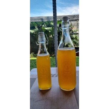 

Kombucha Black Tea Original-300ml