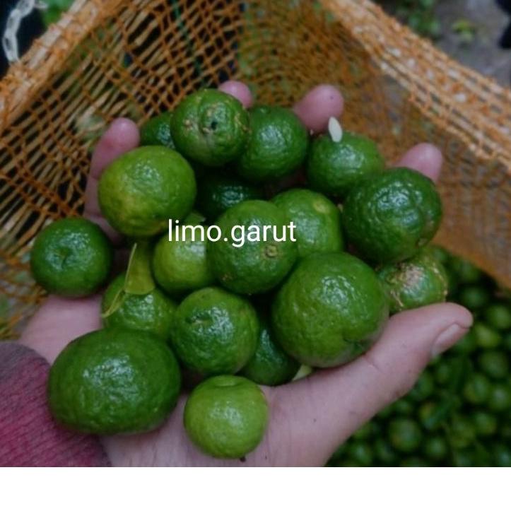 

COD✔️jeruk limo limau / sambal per 1kg|RA9
