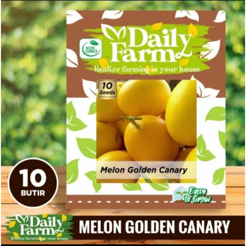 Benih Buah Melon Golden Canary - Daily Farm