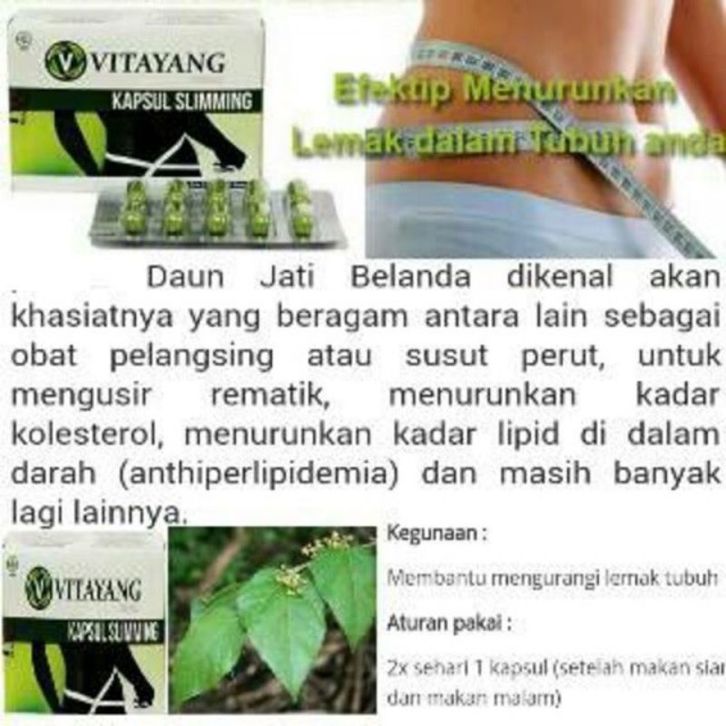 Vitayang Kapsul Slimming Teh Hijau Jati Belanda Gelugur Herbal Alami Untuk Mengatasi Obesitas Dan Kegemukan original KK Indonesia