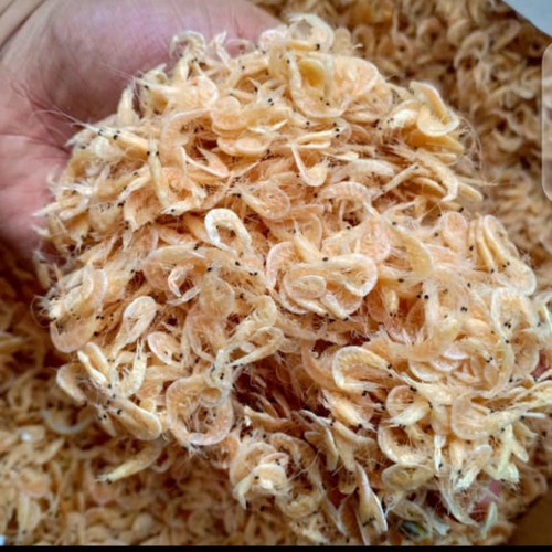 

Udang Rebon atau urang dawu serba 3rb
