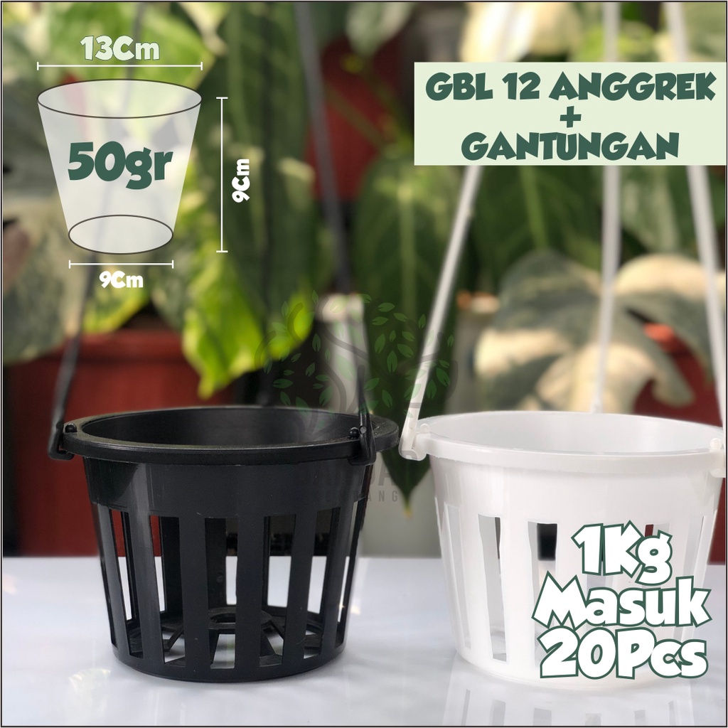 Pot Anggrek Gantung GBL 12 Free Gantungan Pot Anggrek 12 Pot Anggrek Dendrobium Pot Hidroponik