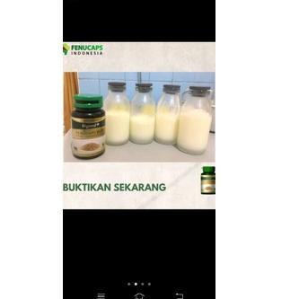 

Barang Terlaris ❀ fenucap plus.