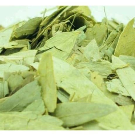 

SGS Daun Jati Cina Organik Alami Teh Pelangsing Peluntur Lemak Tea 100gr