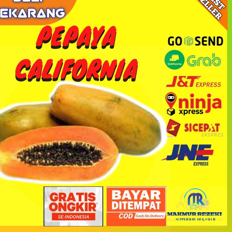 

⚡COD⚡ BUAH PEPAYA CALIFORNIA CALINA LOKAL MANIS SEGAR MATANG HARGA PER BUAH UKURAN 1.2-1.5 KG