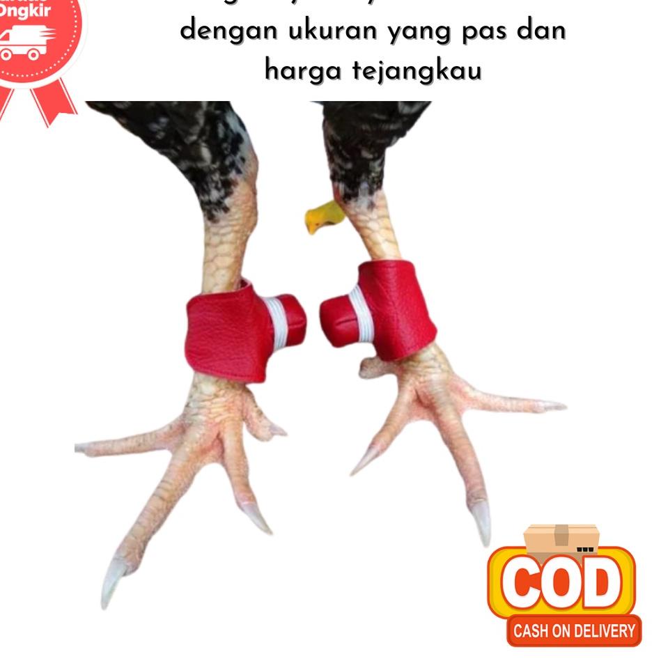 Trend ン Bungkus Jalu Kalep  Bungkus Taji Ayam Bangkok Pelindung Jalu Bungkus Jalu Kaleb Sarung Jalu 