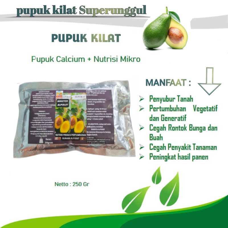 Pupuk Booster Organik Pelebat Buah Alpukat Dan Perangsang Agar Cepat Berbuah