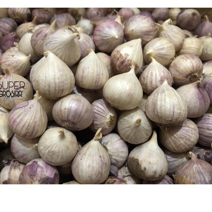 

↑Terbaru N7FFQ Bawang Putih Tunggal Besar JUMBO Fresh Import Bawang Putih Lanang Segar Ukuran Jumbo Besar Sedang Besar Import Grosir 1 BALL 37 Terbatas