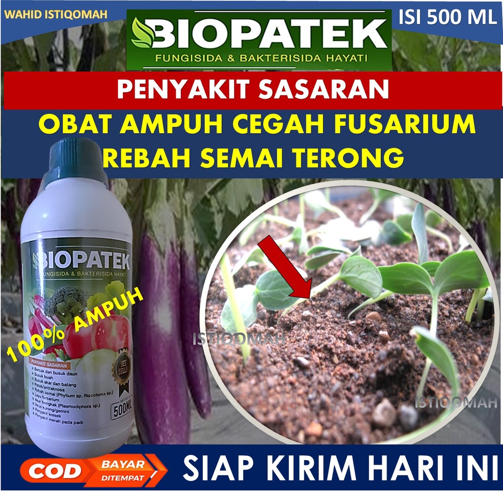 PALING LARIS PROMO BIOPATEK Fungisida Hama Virus Kuning/Gemini TERONG UNGU , Pupuk Organik Hama Viru