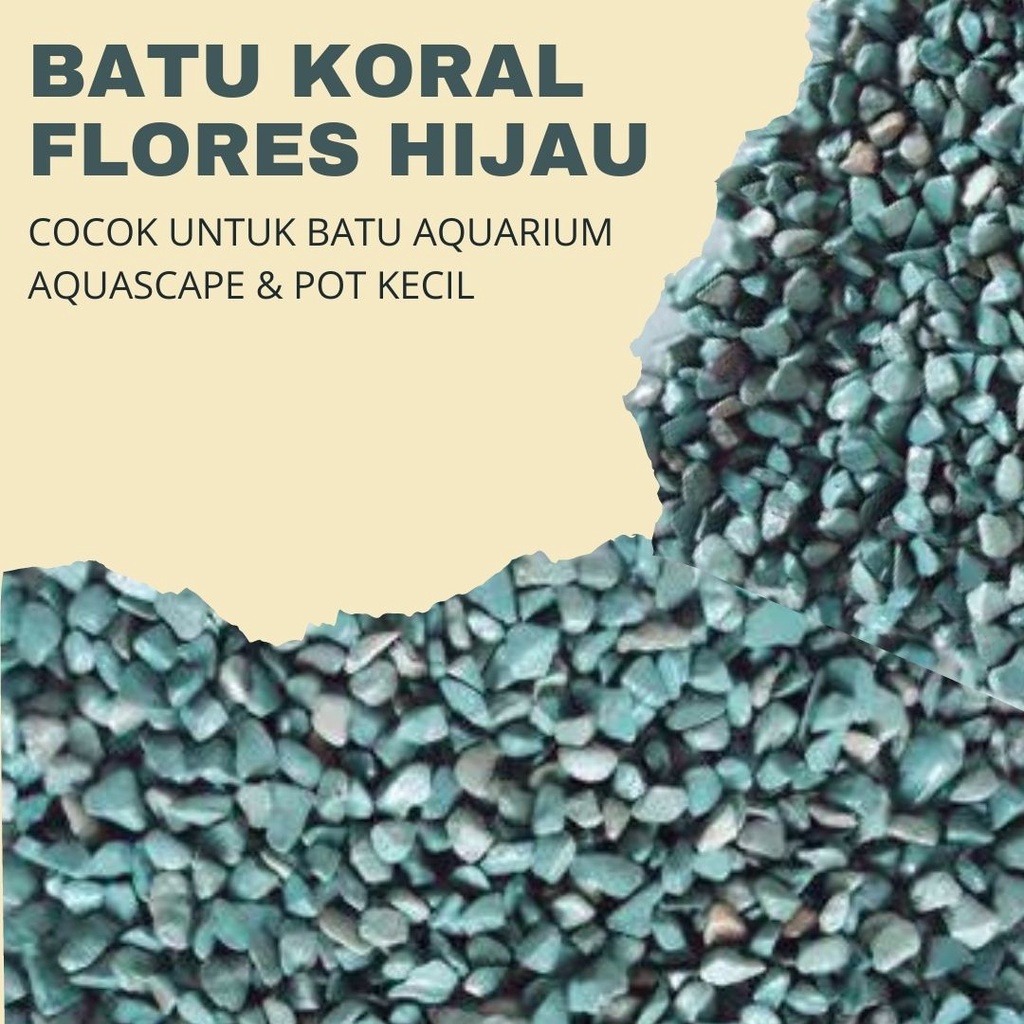 Batu Alam Putih Koral Putih 1KG batu taman hiasan tanaman pot dekorasi rumah rumput sintetis