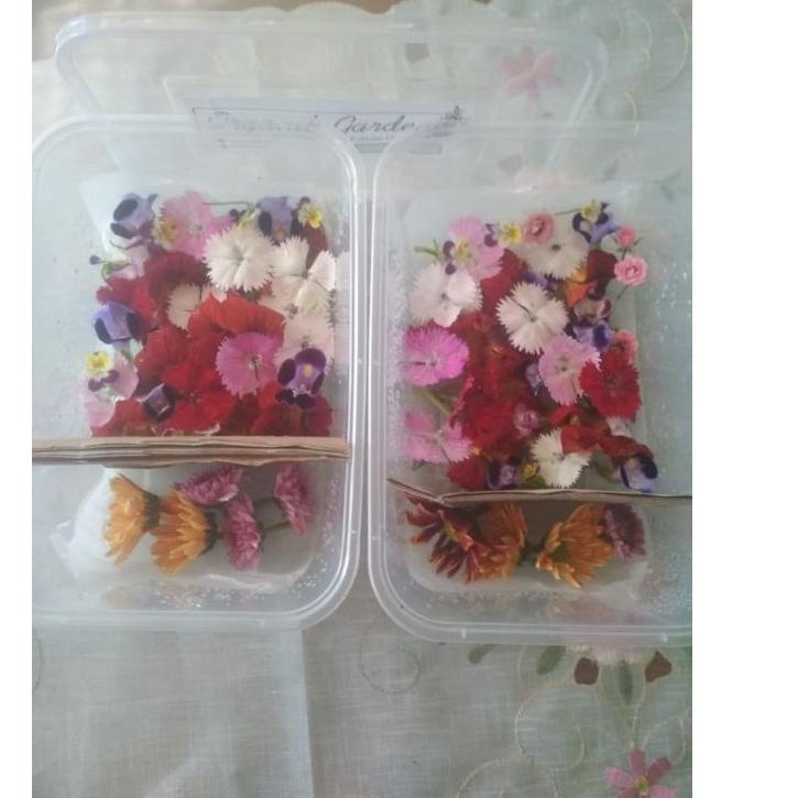 

✎ Edible flower (bisa request bunga) ↥