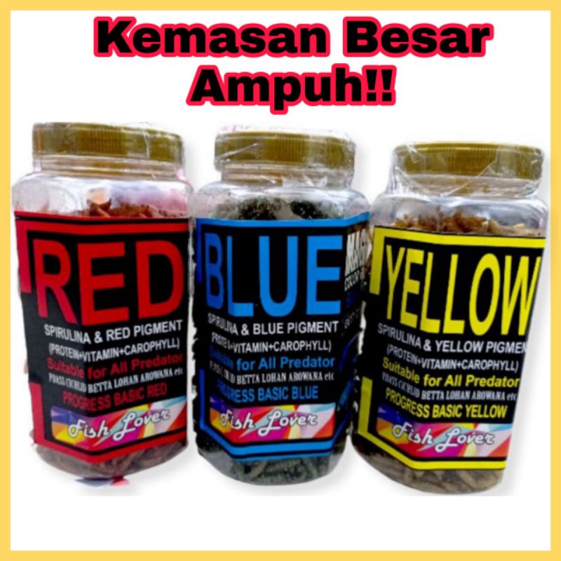 Pakan Channa Blue Red Yellow Maggot kering Bsf pulchra ys maru