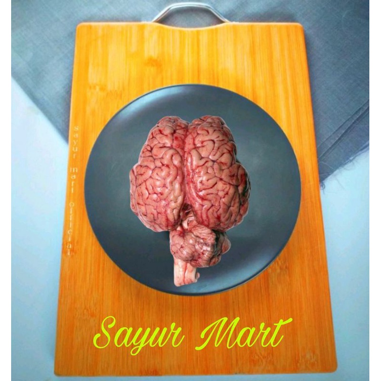 

Otak Sapi Utuh Satuan Perkepala