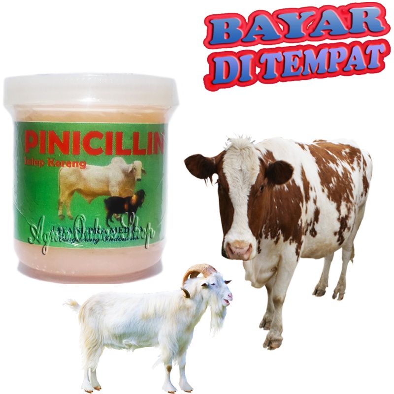 Obat Koreng Sapi Kambing Salep PINICILIN Infeksi Luka Gudik Borok Jamur