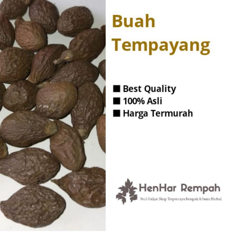 

[PRODUK ZGPRD] Buah Tempayang / Buah kembang semangkok / Beng ta hai 100 gram IMI