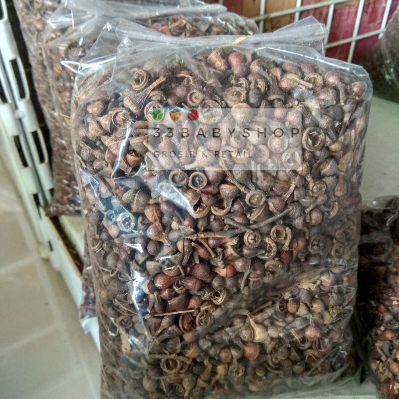 

Ceplik Alba Ceplik Sari Eucalyptus Alba Ceplikan Herbal 500 Gram